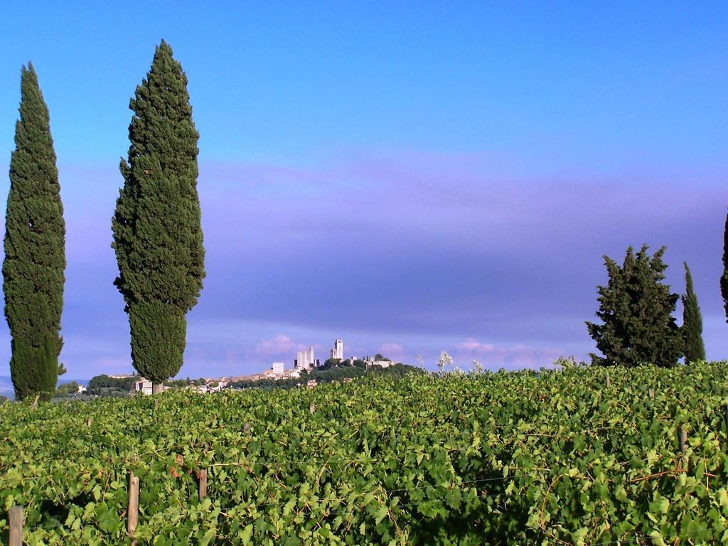 Poggetto Di Montese Appartement San Gimignano Kamer foto